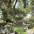 성씨고가 이미지