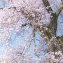 쌍림초등학교 이미지