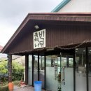 측백장어 이미지