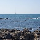 동일리-6 이미지