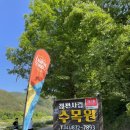 청천수목원야영장 이미지