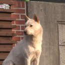 삼거리농장 이미지