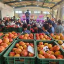 청과물처리장 이미지