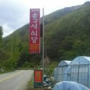 촌구석식당 이미지