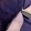 길상(吉祥) | 완전 비추하는 중국 저가항공 &#39;길상항공(Juneyao，吉祥航空)&#39; 솔직후기