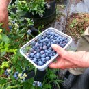 선문농장 이미지