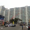 서구-01-29 네이버블로그