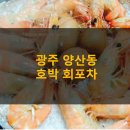 호박포차횟집 이미지