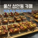 백양로 L | 울산 성안동 카페 &#39;피트모스&#39; 고급스러운 인테리어에 커피맛까지 최고! (아기의자O)