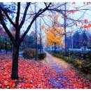 인천노인종합문화회관 이미지