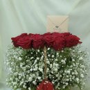 문희띠(뽀루따마)생신 감축드려요♡ 이미지