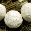 천연발효공방 이미지