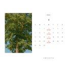 서울윤치과의원 이미지