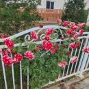 무릉도원면사무소 이미지