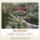 안나하우스벨리 | 스페셜 포토덤프 2주차 내돈내산 가평 계곡이 있는 프라이빗 숙소 안나하우스밸리