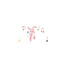 삼성헬스클럽 이미지