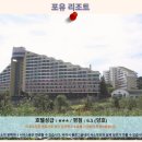 성천농장 | 속초 포유 리조트 솔직 후기! 속초 여행 호텔 추천