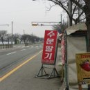 수문농장 네이버블로그