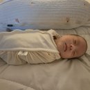 뽀송 | 아이뽀송 꽁꽁이 속싸개 신생아 후기