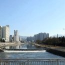 신천아파트 이미지