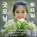 12월 5일(토) 삼성전자의 임원 이야기 이미지