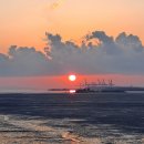 배곧한울공원 이미지