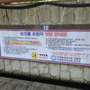 예래4통 이미지