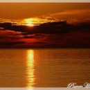 비 개인 후 이미지