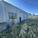 표선리-1 이미지