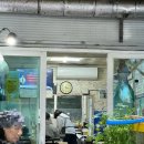 은진이네 | 속초 외옹치항 맛집 은진네 횟집 내돈내산 후기