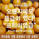 몽땅365