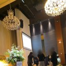 자신감 넘치게 스피치 특훈 | [익산 결혼식 사회] 웨스턴라이프호텔 주례 없는 예식 후기 : 16년 차 아나운서의 완벽한 동선 디렉팅