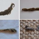 웰 동물병원 이미지