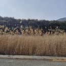 하늘정원 이미지