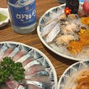제주함덕청춘어시장 | 제주 함덕 횟집 청춘어시장 고등어회 딱새우회 오션뷰 맛집