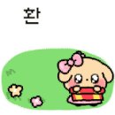 신세대오토카 이미지