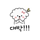 숲길 강아지 이미지