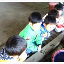 풀빛향기송정마을 이미지