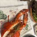 만대로 | 태안 만리포 맛집: 애견동반 가능한 푸짐한 횟집 '만대회수산' 내돈내산 후기