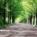 슬로시티삼지내마을 이미지