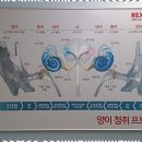 오티콘 보청기 금천센터 이미지