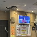 송정 찐 맛집(대한복국돌판낙지볶음, 20년전통할매집)