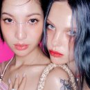 틴트(TINT) 이미지