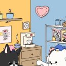 수캔들
