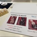 위키즈주니어치과의원 이미지