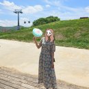 강원도 정선 여행 필수 코스 하이원 알파인코스터 + 샤스타 데이지