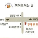 신 정통 춘천닭갈비