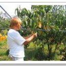 적벽강마을 이미지