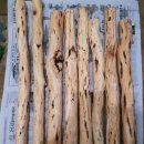 송담3로 이미지