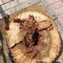 구월남로 이미지